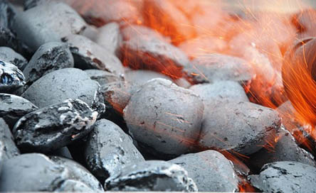 coconut charcoal products
